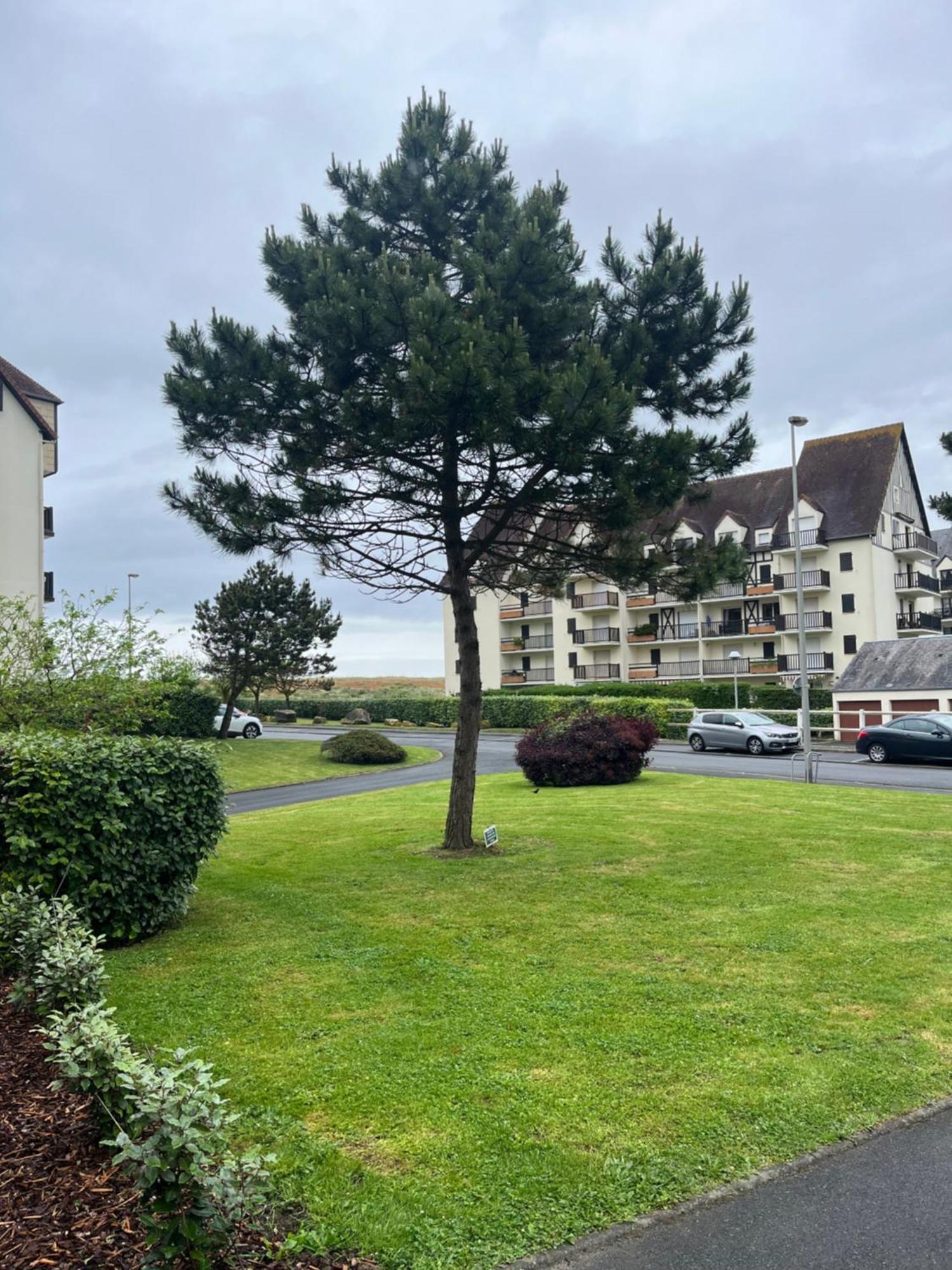 Apartmán La Parenthese Cabourgeaise Exteriér fotografie